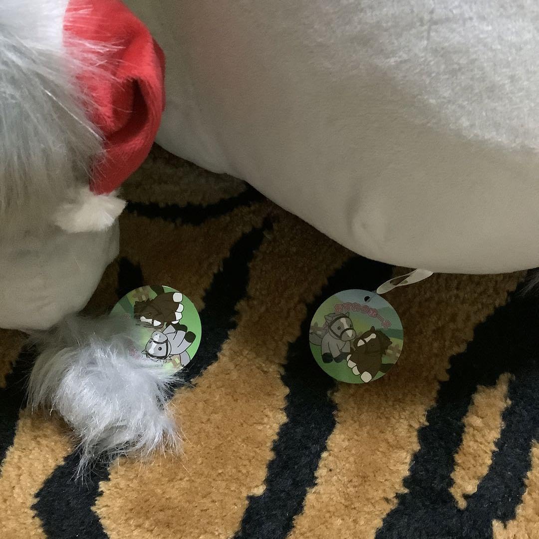 Amazon.co.jp: おすわりホース セット 北海道ノーザンホースパーク